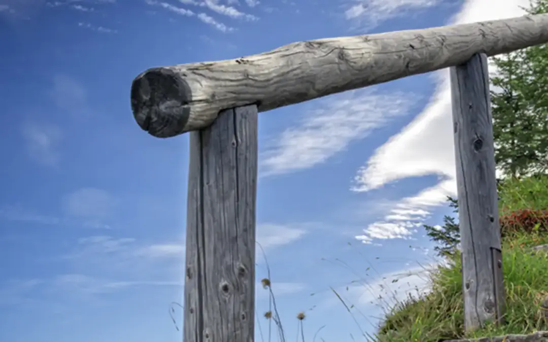 Ziele-Workshop 2026 vom 09.-10.01.2026 Visionboard & Jahresplanung